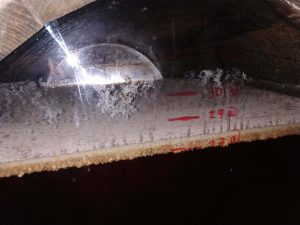 7 a Veil of flor. Layer of yeast (2)