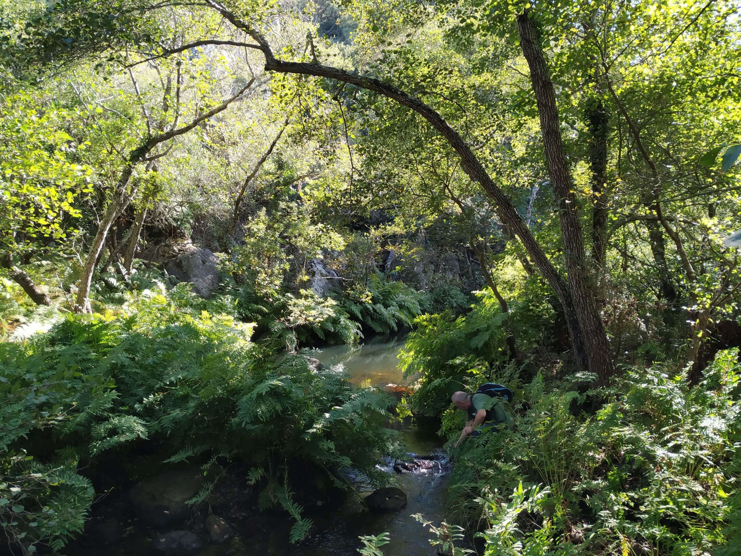 Private guided hiking tour Alcornocales natural park Cadiz laurisilva San Carlos del Tiradero